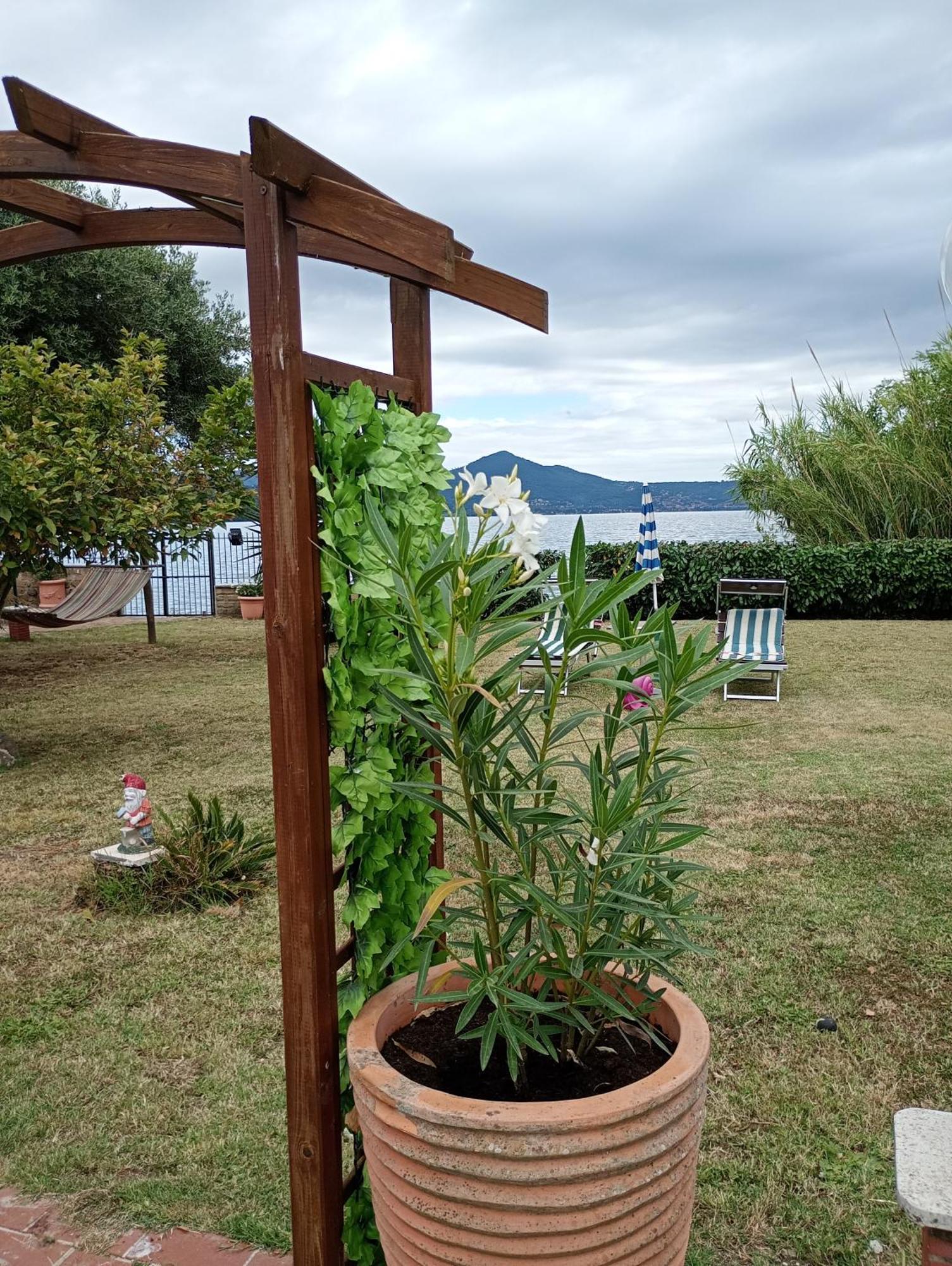 Independent Villa With Private Beach On The Lake Bracciano  Eksteriør billede